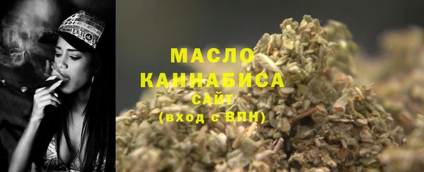 дживик Елабуга