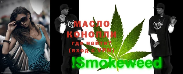 spice Дмитриев