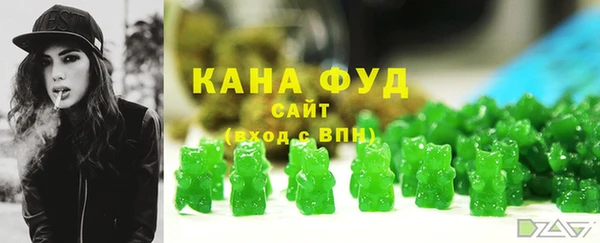 spice Дмитриев