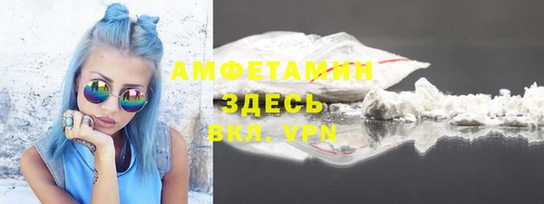 spice Дмитриев