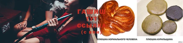 spice Дмитриев