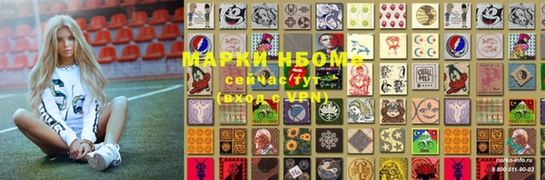spice Дмитриев