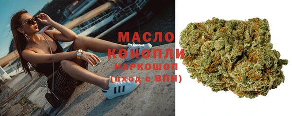 spice Дмитриев